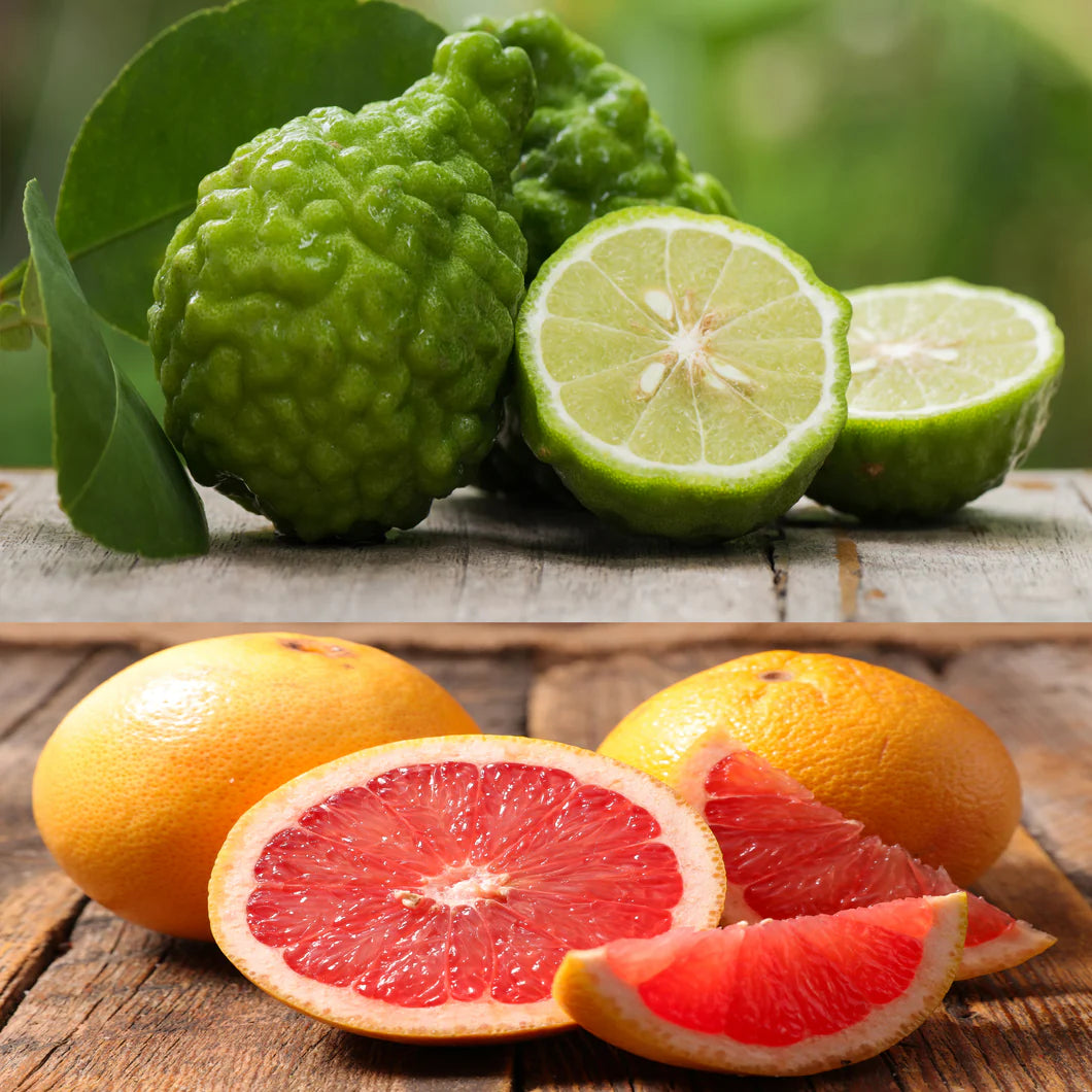 Grapefruit & Bergamot 50ml Perfume