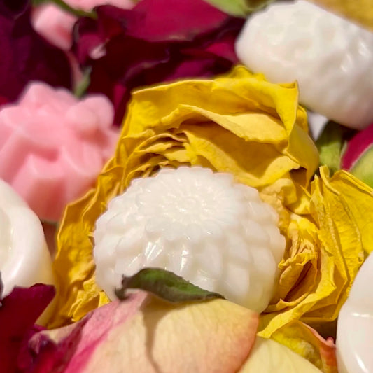 Bloom Wax Melts